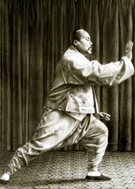 Yang Chen Fu